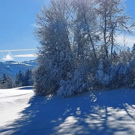 Traumplatz Im Allgaeu * レッテンベルク