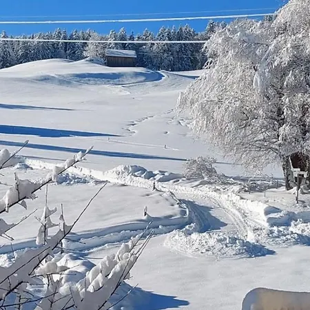 Traumplatz Im Allgaeu