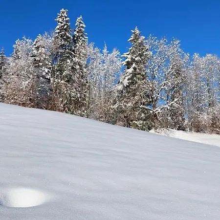 Traumplatz Im Allgaeu 아파트 레텐베르크