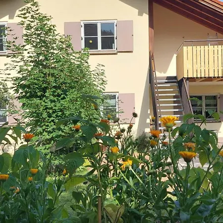 Traumplatz Im Allgaeu